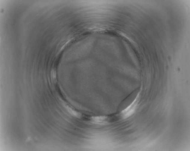 X0000070410192200606302045