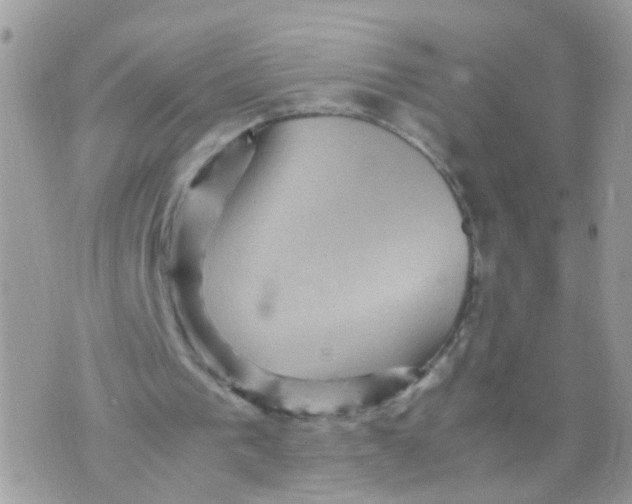 X0000070410193200606302045