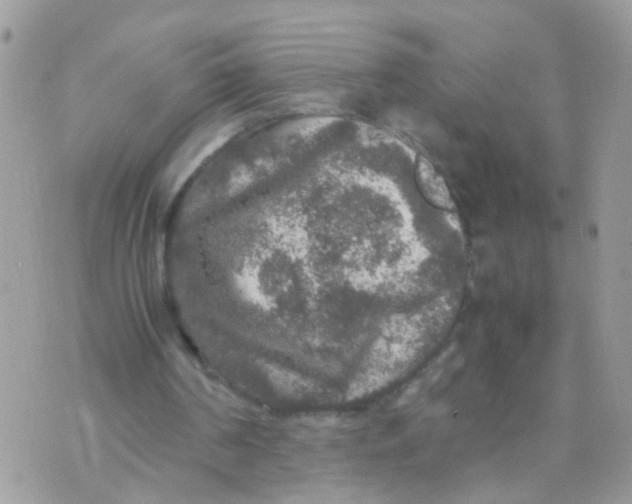 X0000070410194200606302045