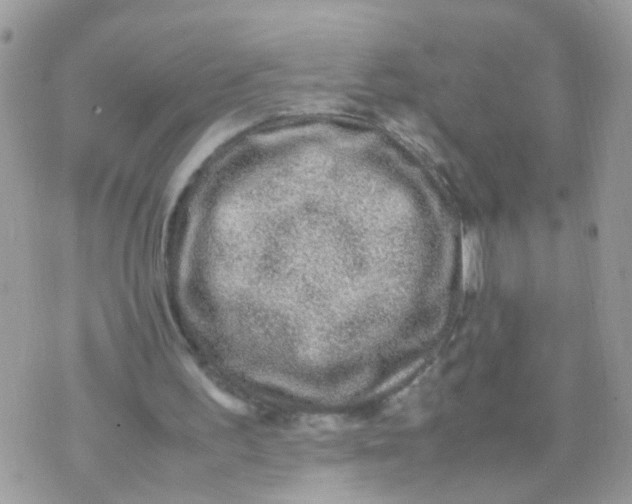 X0000070410195200606302045