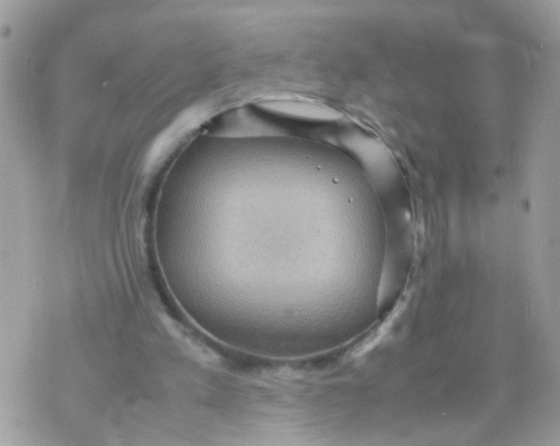 X0000070410197200606302045