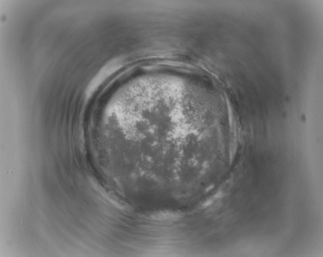 X0000070410198200606302045