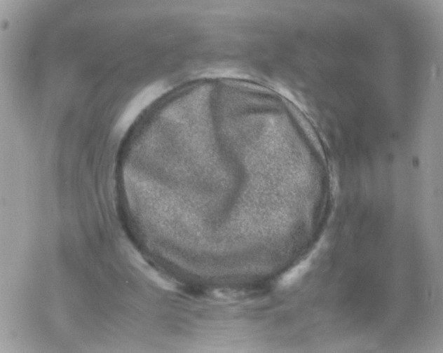 X0000070410199200606302045