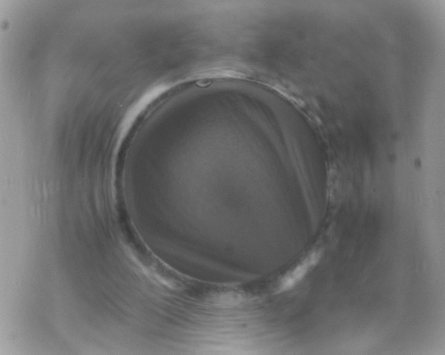 X0000070410200200606302045