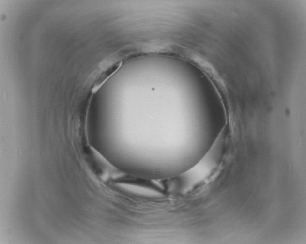 X0000070410201200606302044