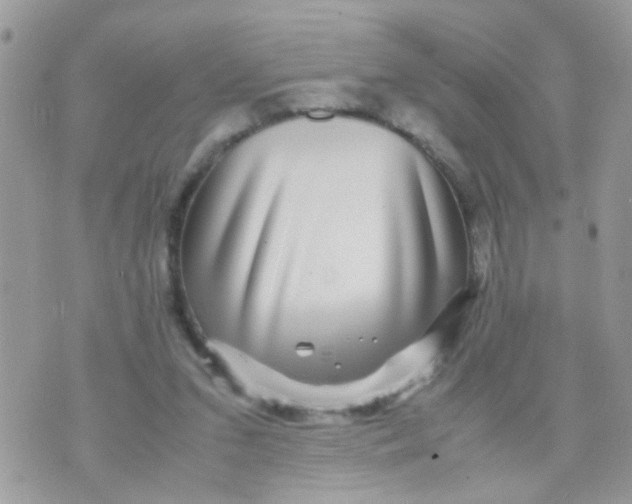 X0000070410207200606302044