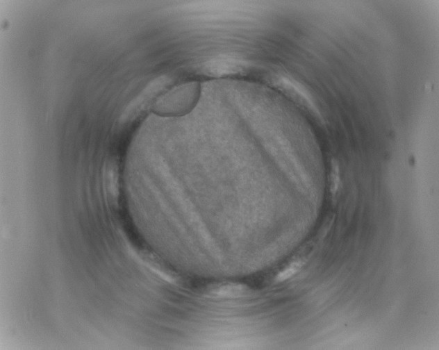 X0000070410210200606302044