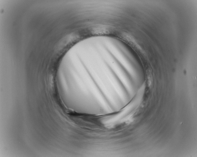 X0000070410211200606302044