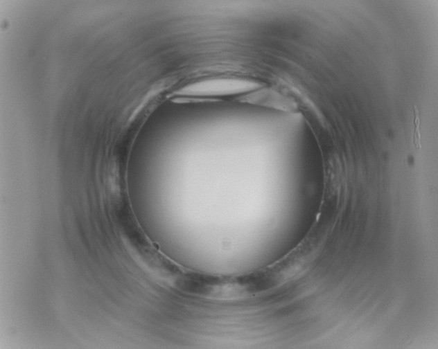 X0000070410212200606302044