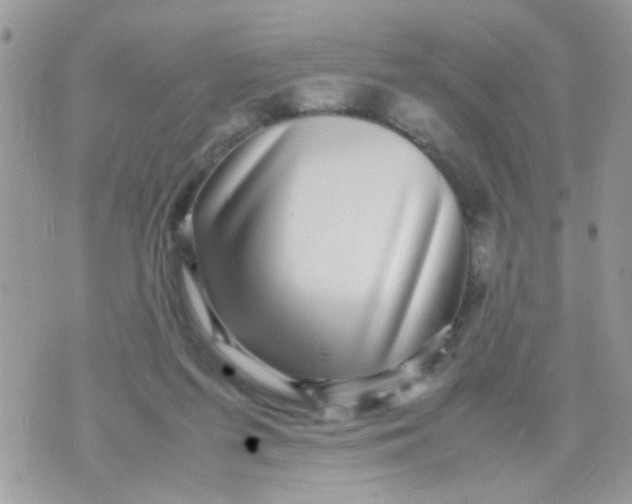 X0000070410215200606302044