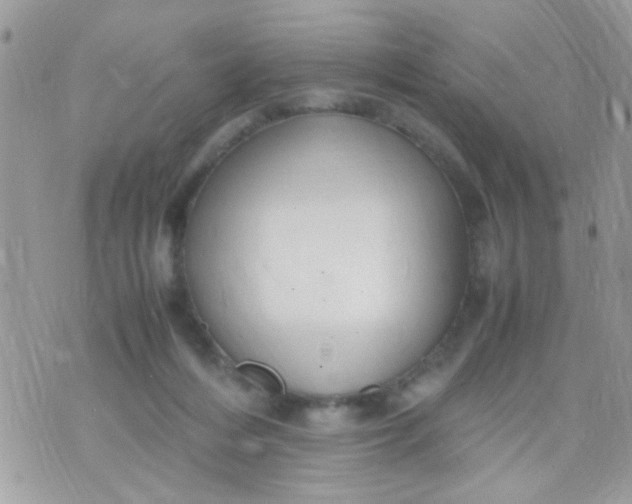 X0000070410216200606302044