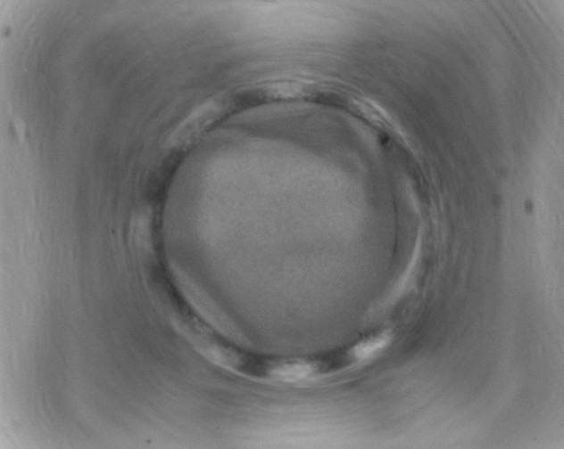 X0000070410217200606302044