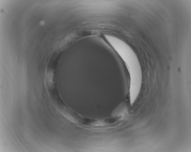 X0000070410219200606302044