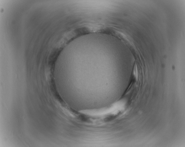 X0000070410221200606302044