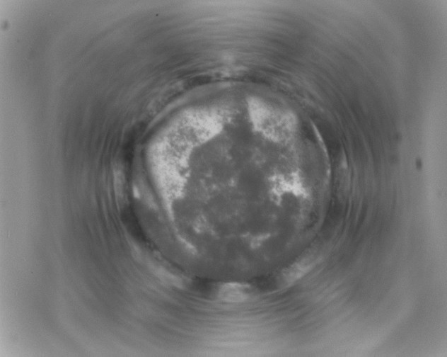 X0000070410222200606302044