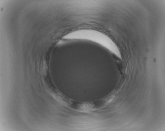 X0000070410223200606302044