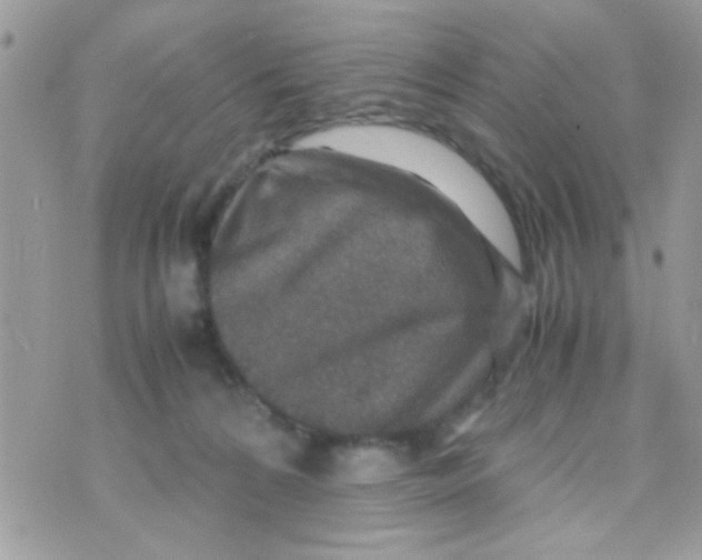 X0000070410224200606302044