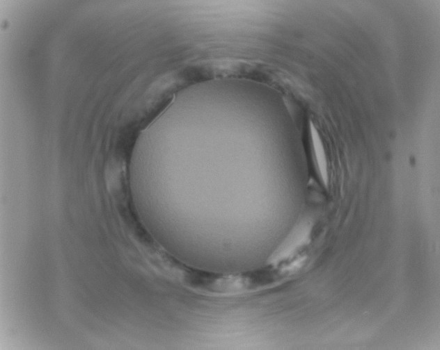 X0000070410225200606302044