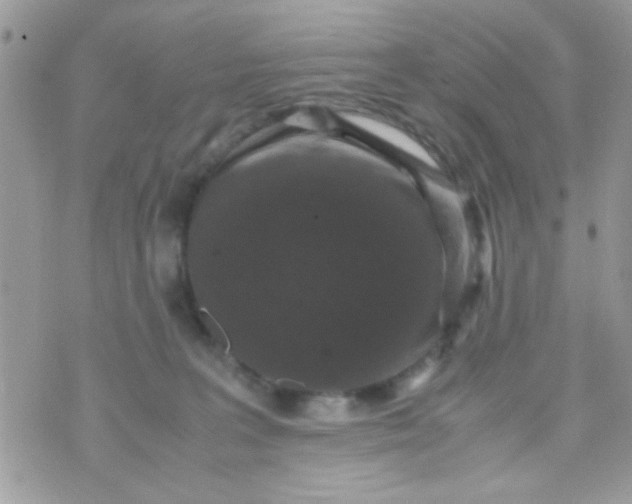 X0000070410227200606302044