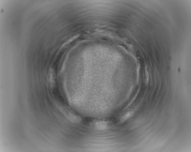 X0000070410228200606302044