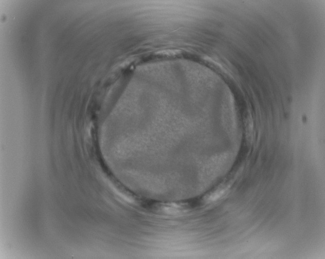 X0000070410229200606302044