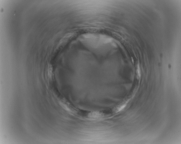 X0000070410231200606302044