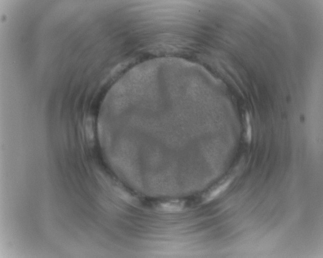 X0000070410232200606302044