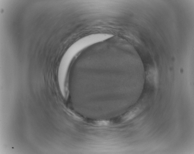 X0000070410233200606302044