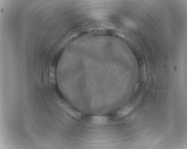 X0000070410234200606302044