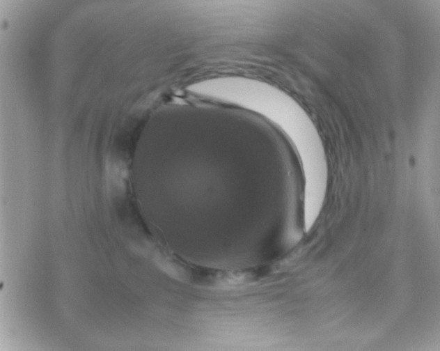 X0000070410235200606302044