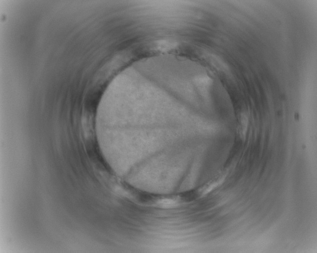 X0000070410236200606302044