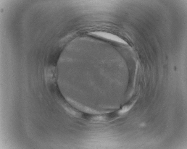 X0000070410237200606302044