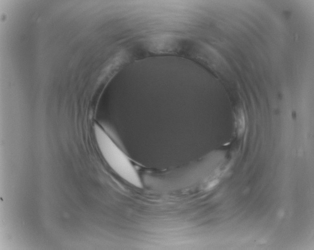 X0000070410239200606302044