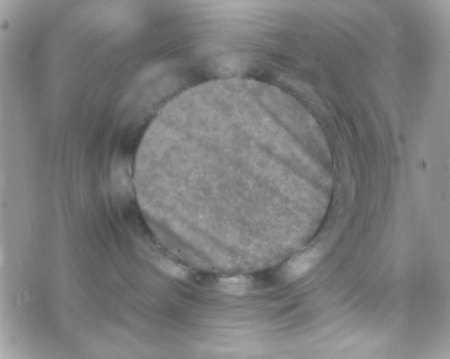 X0000070410240200606302044