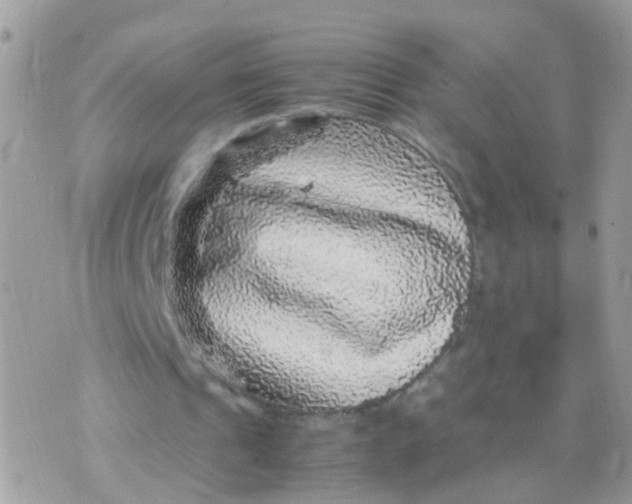 X0000070410241200606302043