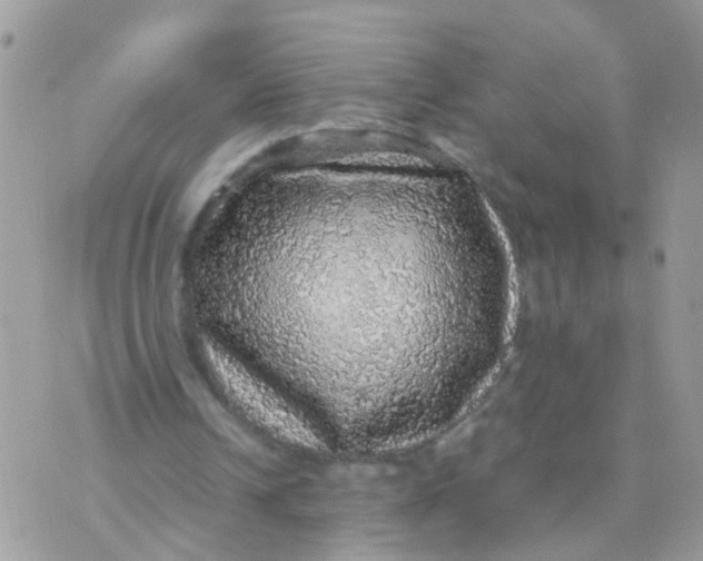 X0000070410242200606302043