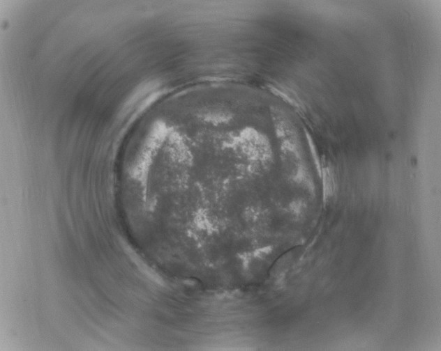 X0000070410243200606302043