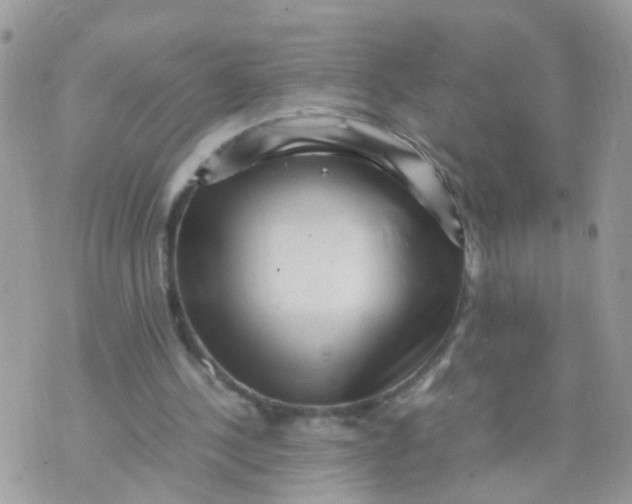 X0000070410244200606302043