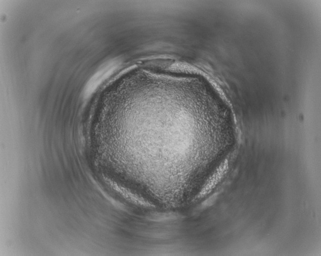 X0000070410245200606302043