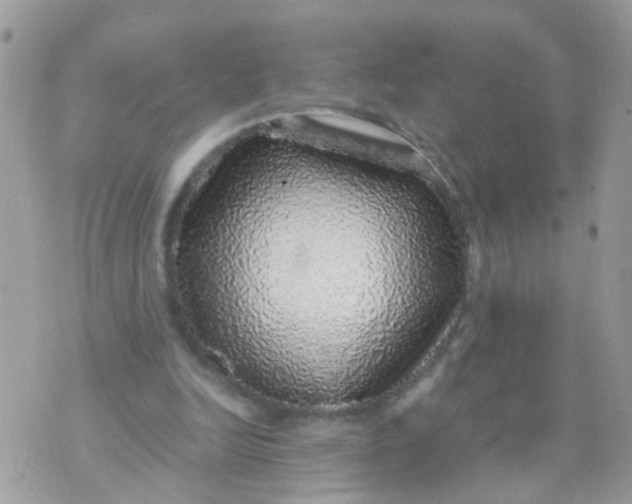 X0000070410246200606302043