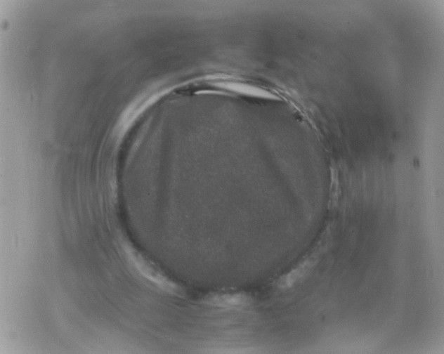 X0000070410247200606302043