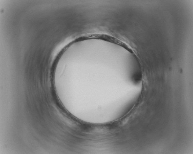 X0000070410248200606302043