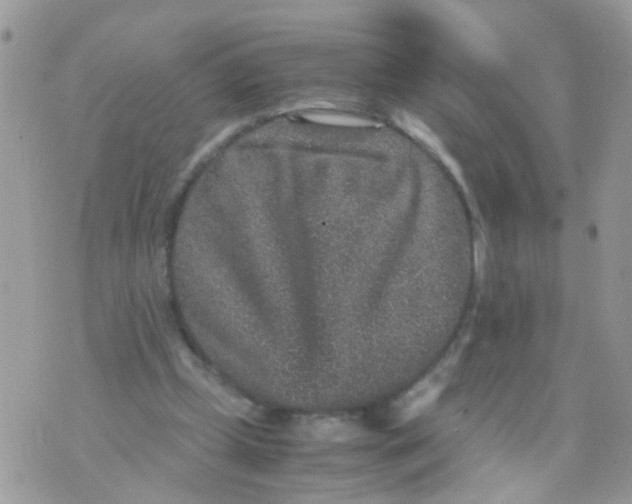 X0000070410249200606302043