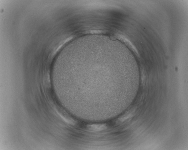 X0000070410251200606302043