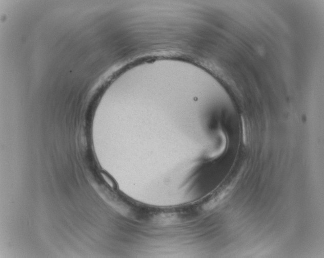 X0000070410252200606302043