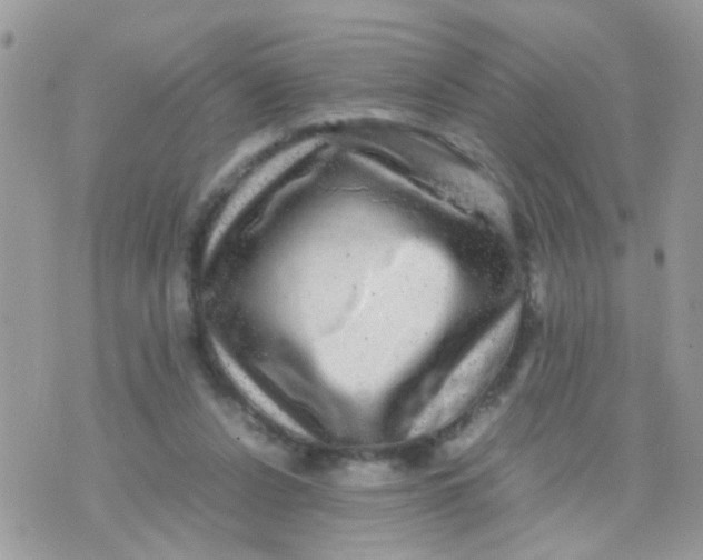 X0000070410256200606302043