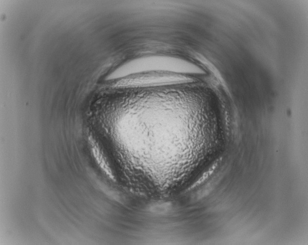 X0000070410257200606302043