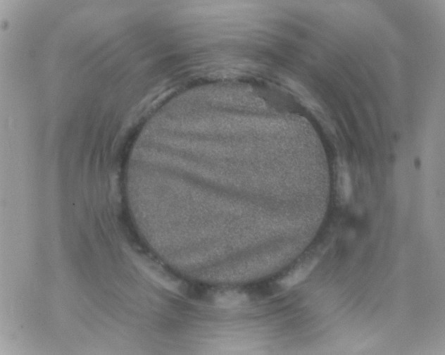 X0000070410258200606302043