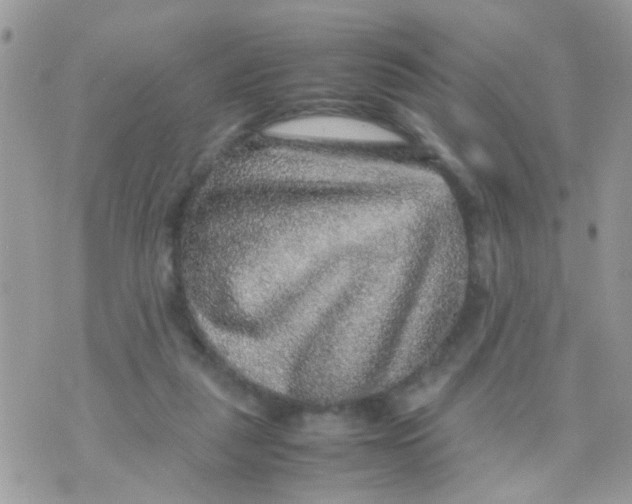 X0000070410259200606302043