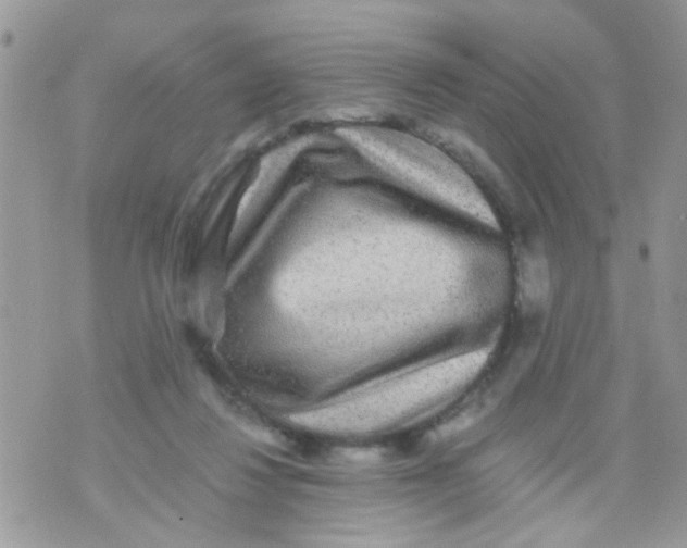 X0000070410260200606302043